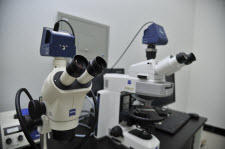 Stereomicroscope & Polarizi