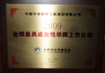 2009全球最具成長性華商上